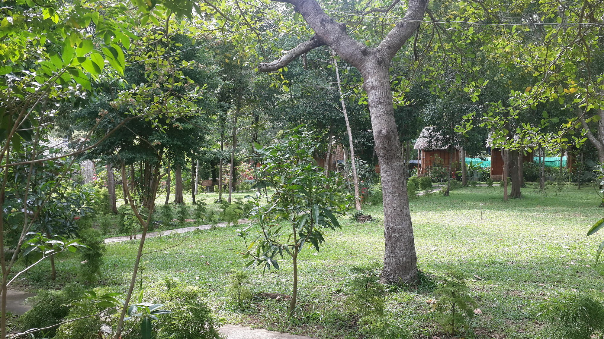 דואונג דונג Minh Vuong Village Resort & Restaurant מראה חיצוני תמונה